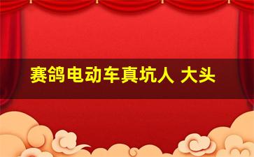 赛鸽电动车真坑人 大头